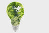Why Product Longevity Is One of the Most Sustainable Choices